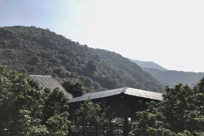 微信圖片_20190520154950.jpg